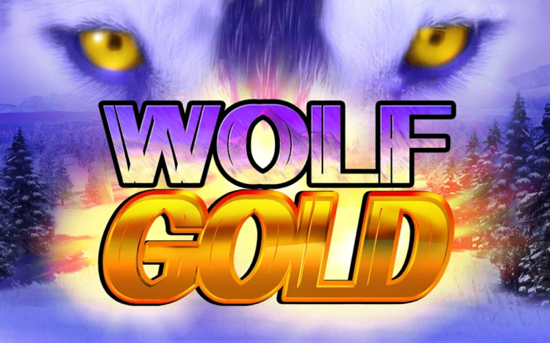 Wolf Gold es un juego con volatilidad media en la plataforma oficial 1Win.
