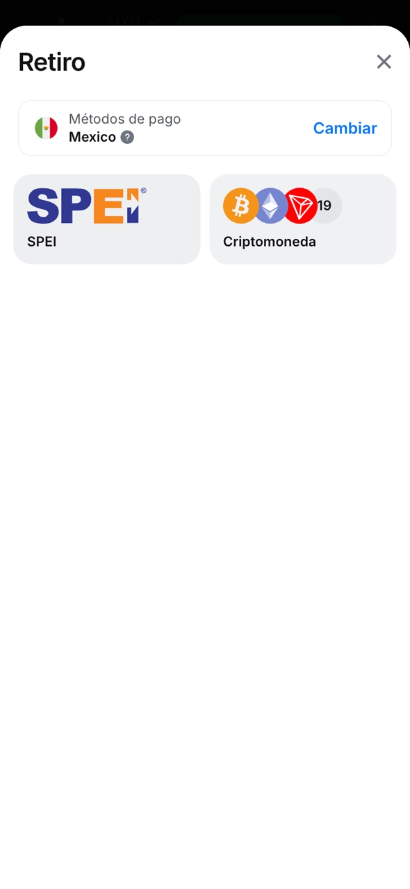 Rellene todos los campos con la información de pago necesaria.